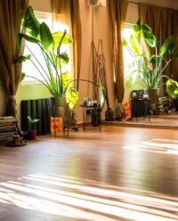 Еднодневно враќање кон себе си со Небојша Илијевски: декемвриска пауза помеѓу она што беше и она што допрва доаѓа