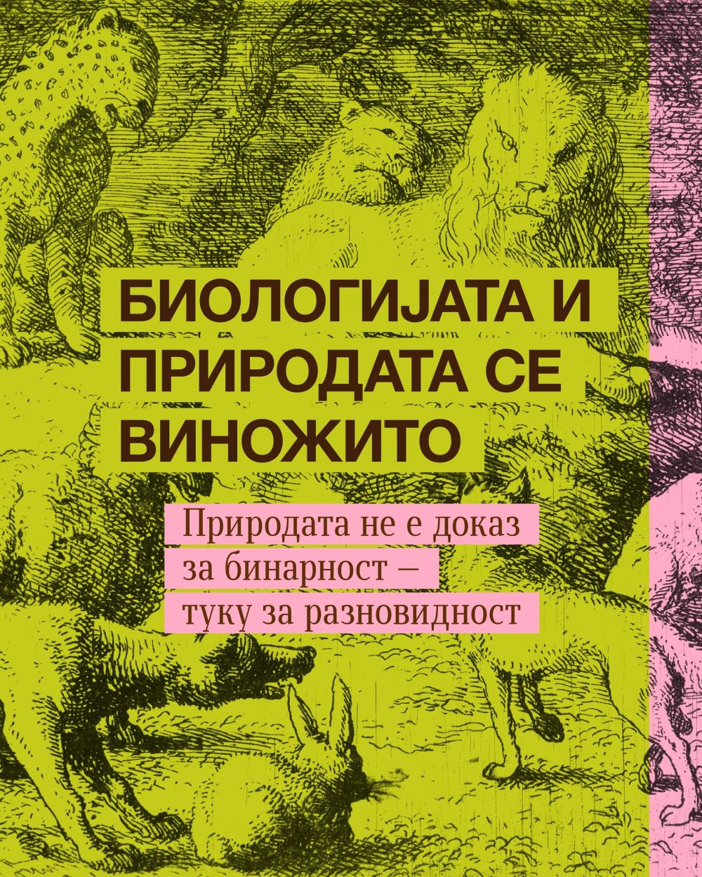 Коалиција Маргини - и после се проблеми со родот