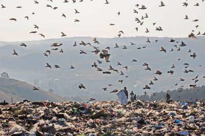 Дрисла Ѓубре - Фото Томи Георгиев